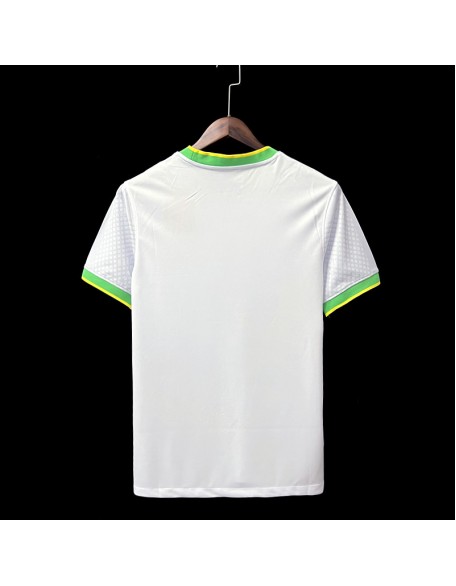 Brazil Jerseys 2022