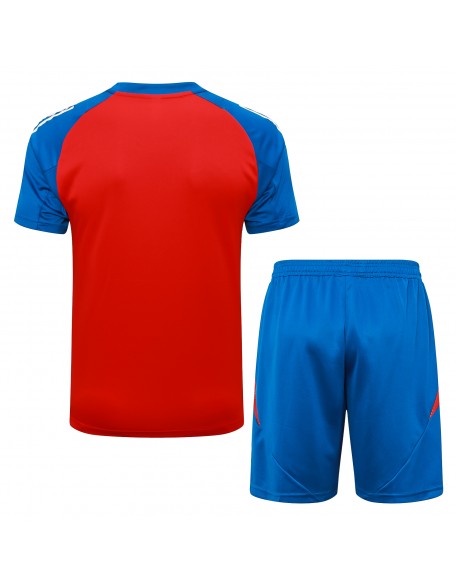 Jerseys + Shorts Spain 24/25