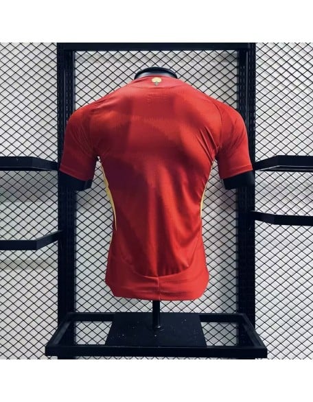 Spain Home Jerseys 2024 player version 